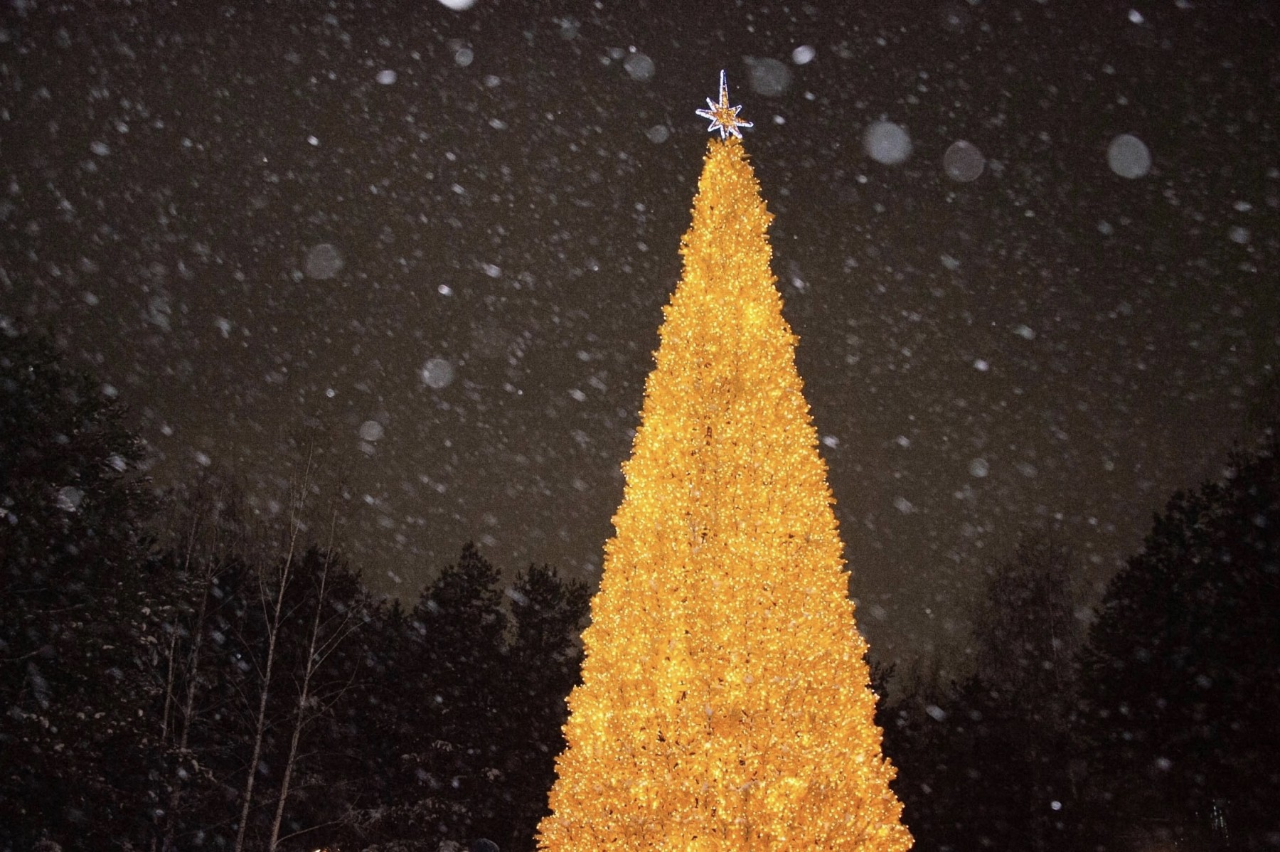 В Нижнекамске началась подготовка к Новому году, который впервые отметят общегородским праздником